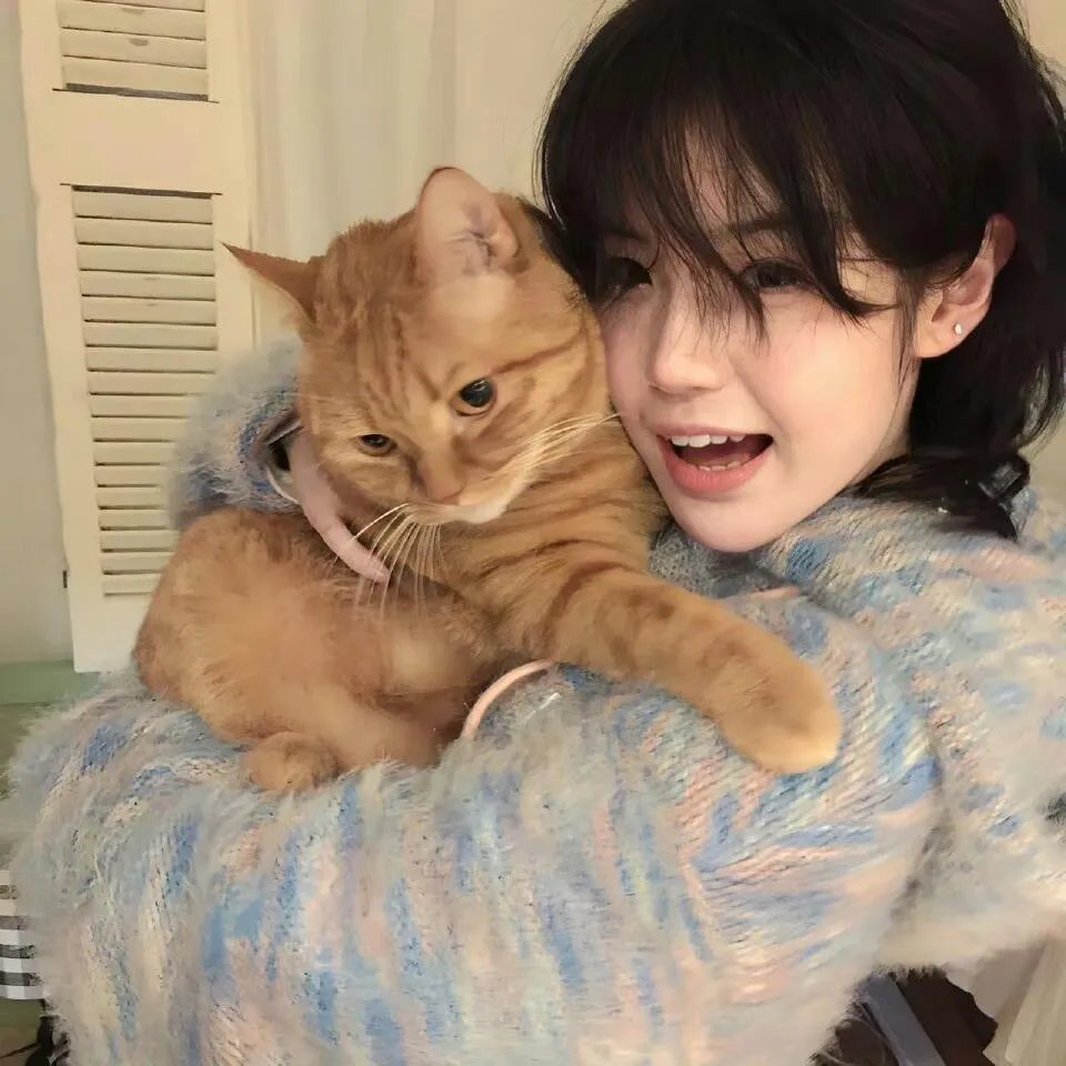 Stealer：七个朝鲜通宝